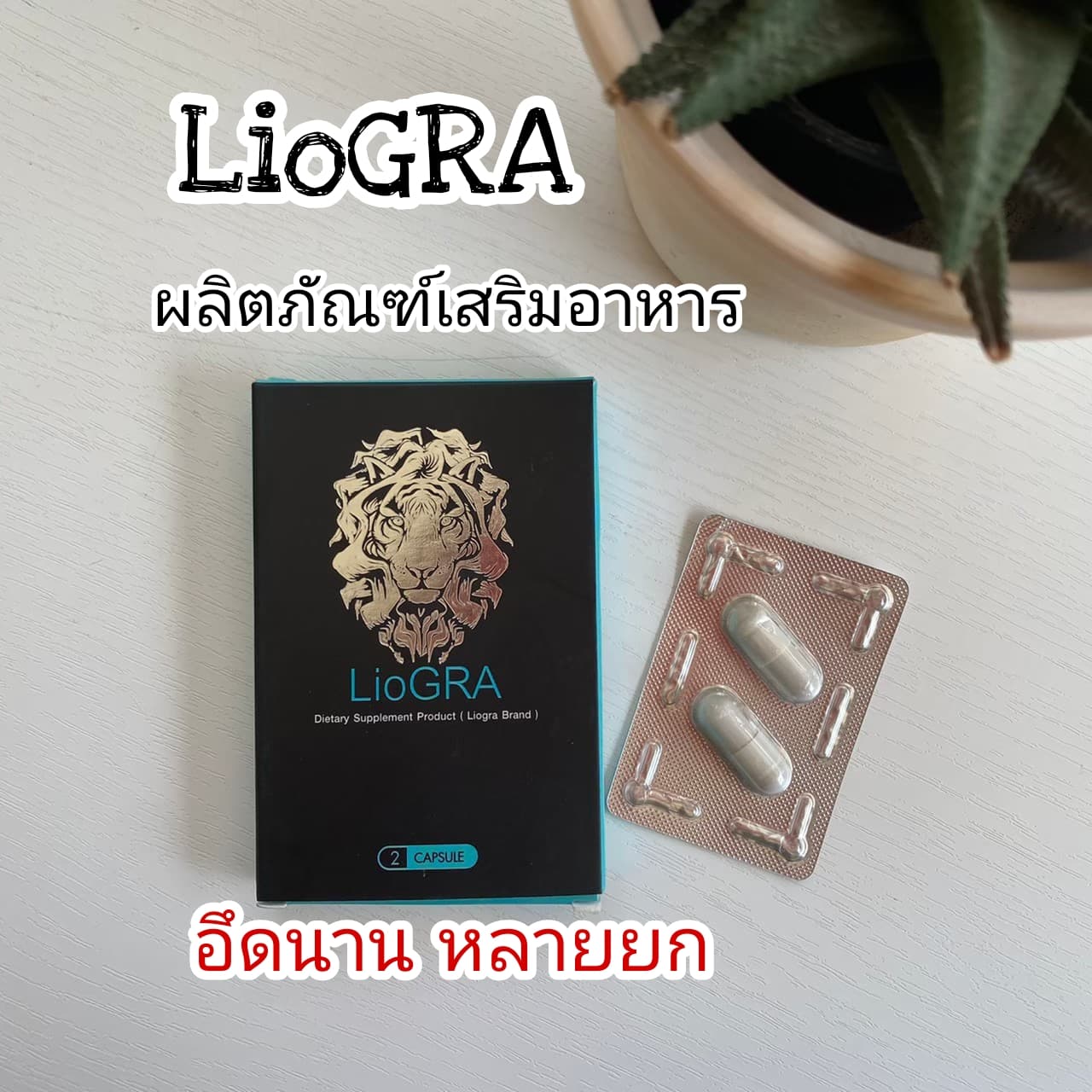 LioGRA ขย่ม ความ มัน ไลโอกร้า ไม่ลอง คือพลาด