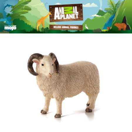 โมเดลสัตว์ลิขสิทธิ์ Animal Planet แท้ - Sheep (Ram)