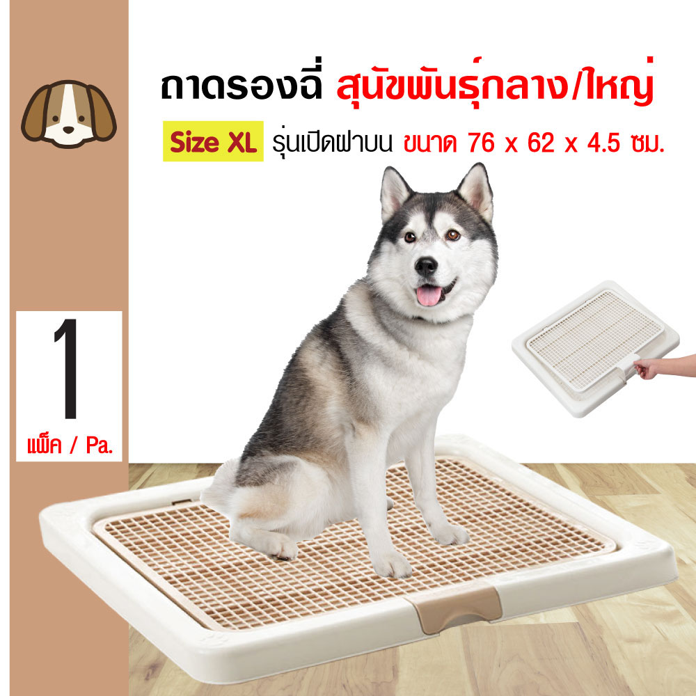 Kanimal Dog Toilet ห้องน้ำสุนัข ถาดฝึกฉี่สุนัข รุ่นเปิดฝาบน พร้อมที่ล็อคฝา สุนัขพันธุ์กลาง/ใหญ่ Size XL ขนาด 76x62x4.5 ซม.
