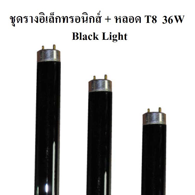 สุดคุ้ม ชุดรางอิเล็กทรอนิกส์ + หลอดไฟแบล็คไลท์  T8 36W Black Light หลอดไฟดักแมลง หลอดไฟล่อแมลง หลอดแบล็คไลท์