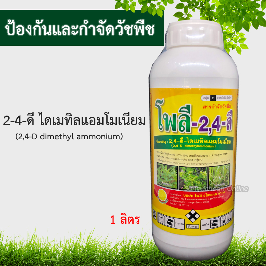 My Image 35