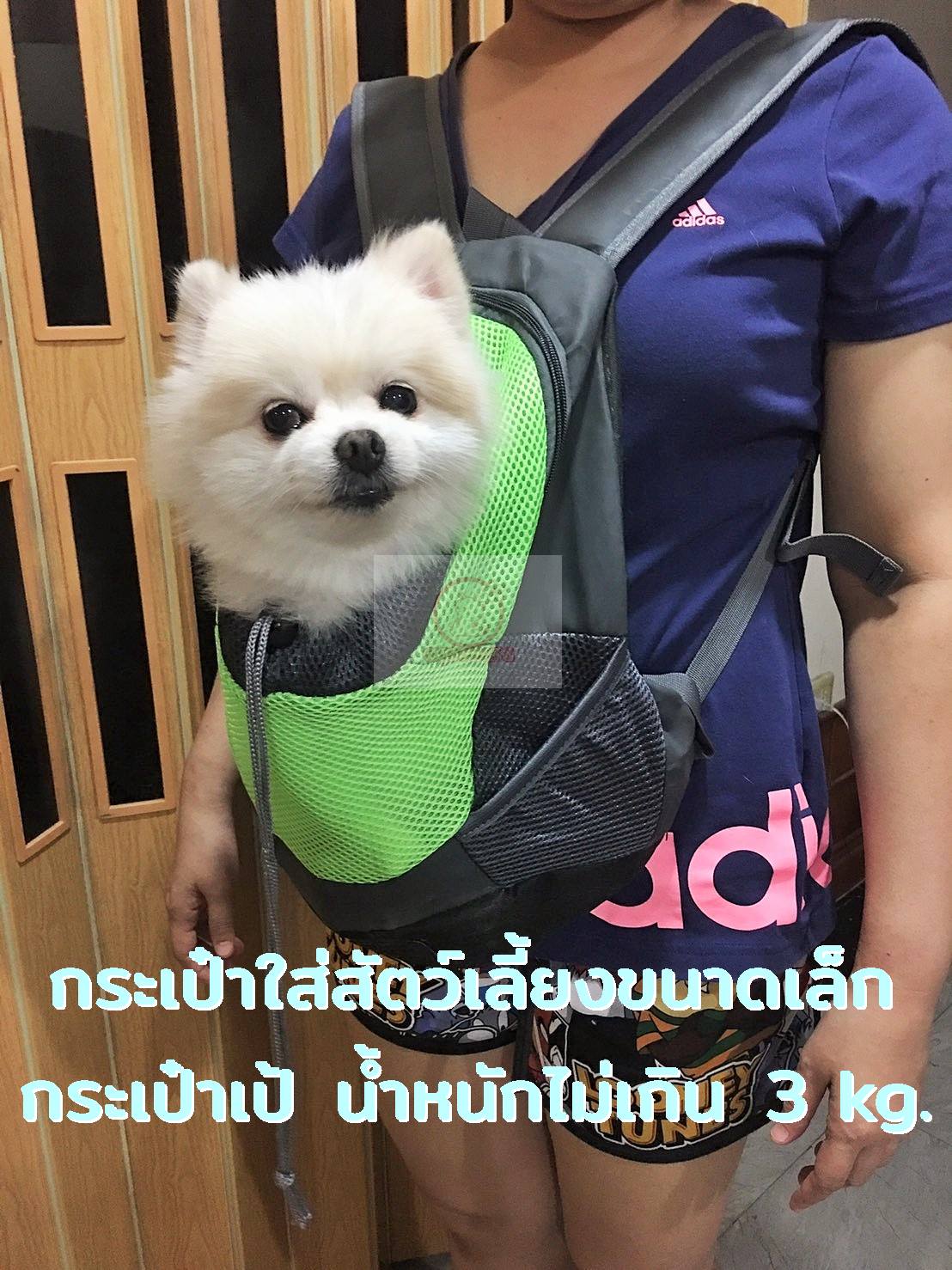 กระเป๋าสัตว์เลี้ยง กระเป๋าเป้ กระเป๋าใส่สัตว์เลี้ยงพกพา กระเป๋าใส่สัตว์เลี้ยงขนาดเล็ก น้ำหนักไม่เกิน 3 kg. (คละสี / assorted color)