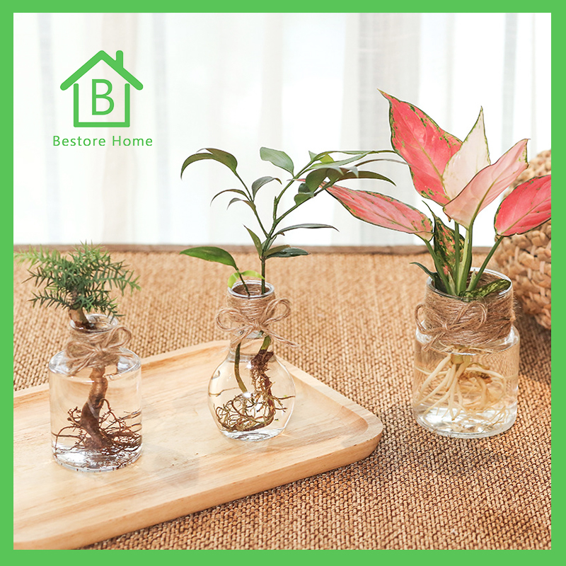 BestoreHome (เฉพาะแจกัน) 🌳แจกัน🌳 แจกันทรงขวด แจกันไซส์มินิ แจกันตกแต่งบ้าน (ราคาต่อ 1 ชิ้น)