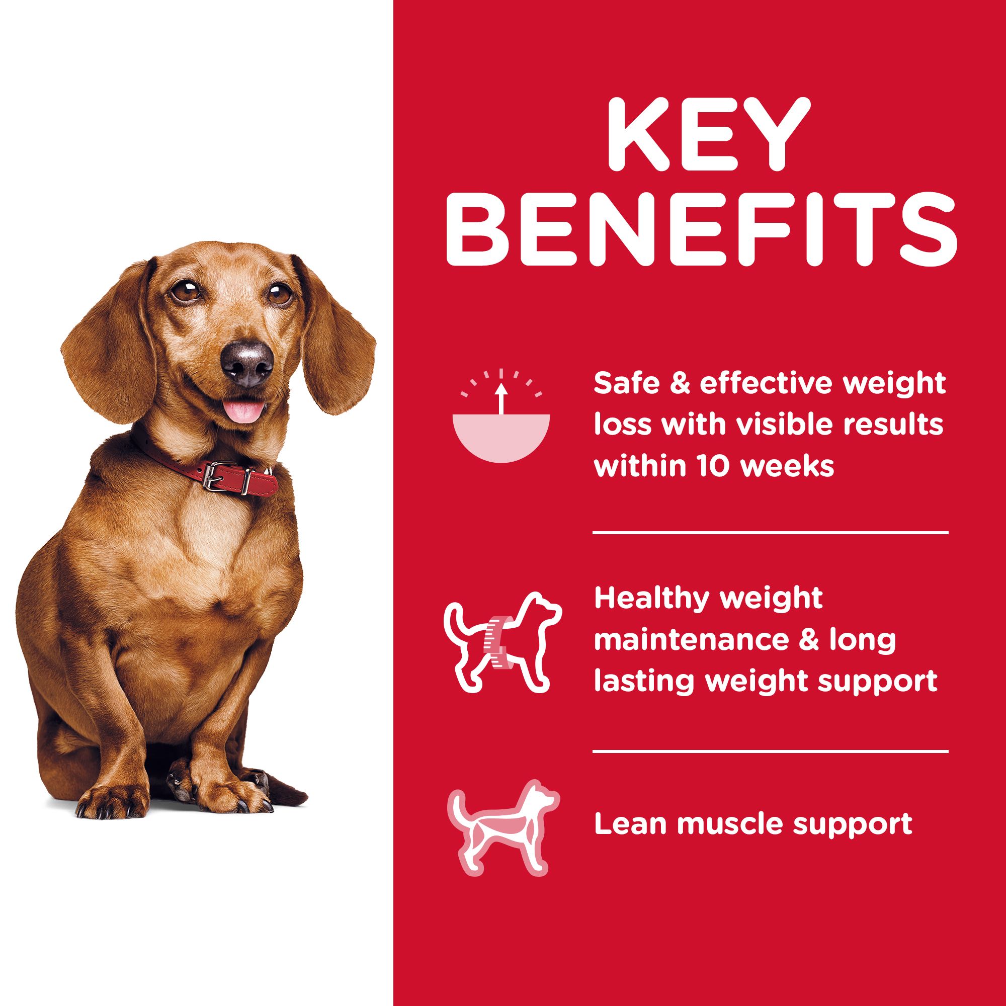 Science Diet Perfect Weight อาหารสุนัข สูตรควบคุมน้ำหนัก ล Puket Stores