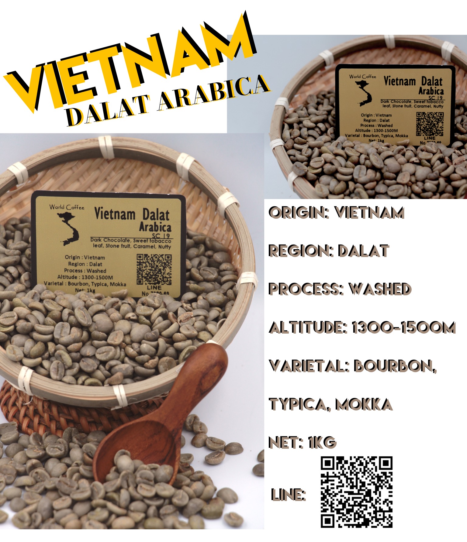พร้อมส่ง เมล็ดกาแฟดิบ Vietnam Dalat ArabicaSC19 Washed process ขนาด 1kg. / เมล็ดกาแฟนอก/ เมล็ดกาแฟสาร เวียดนาม/  Vietnam Dalat Arabica 19 green beans 1kg