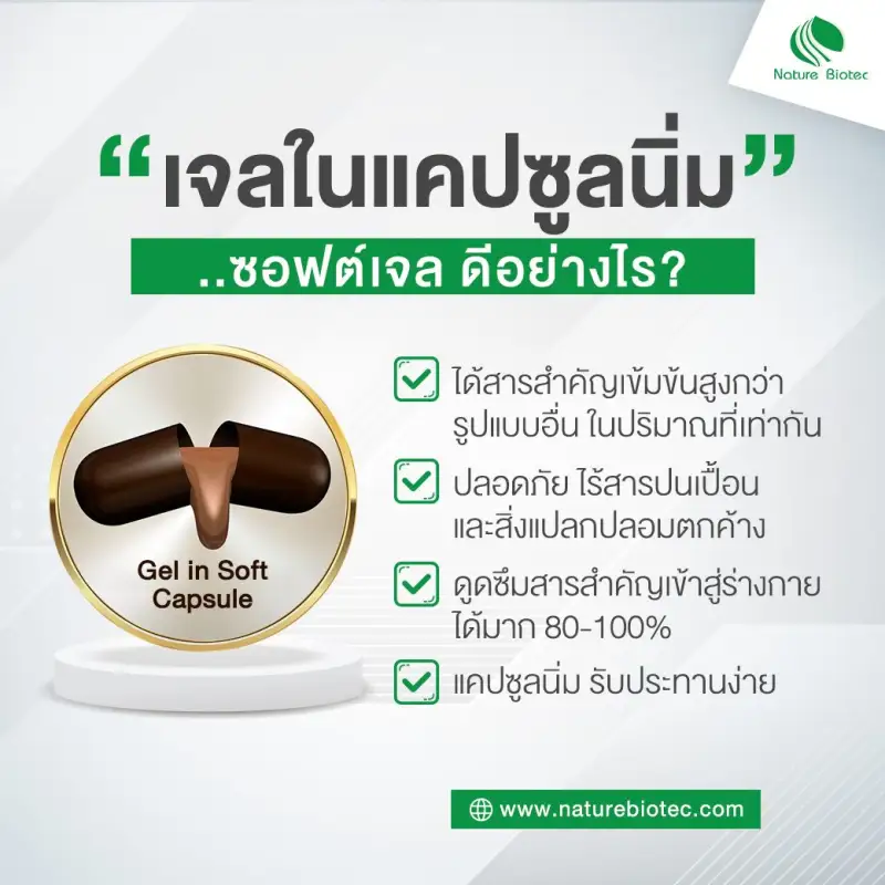 ภาพสินค้าเห็ดหลินจือแดงสกัด จากร้าน Bestpricevitamin บน Lazada ภาพที่ 5