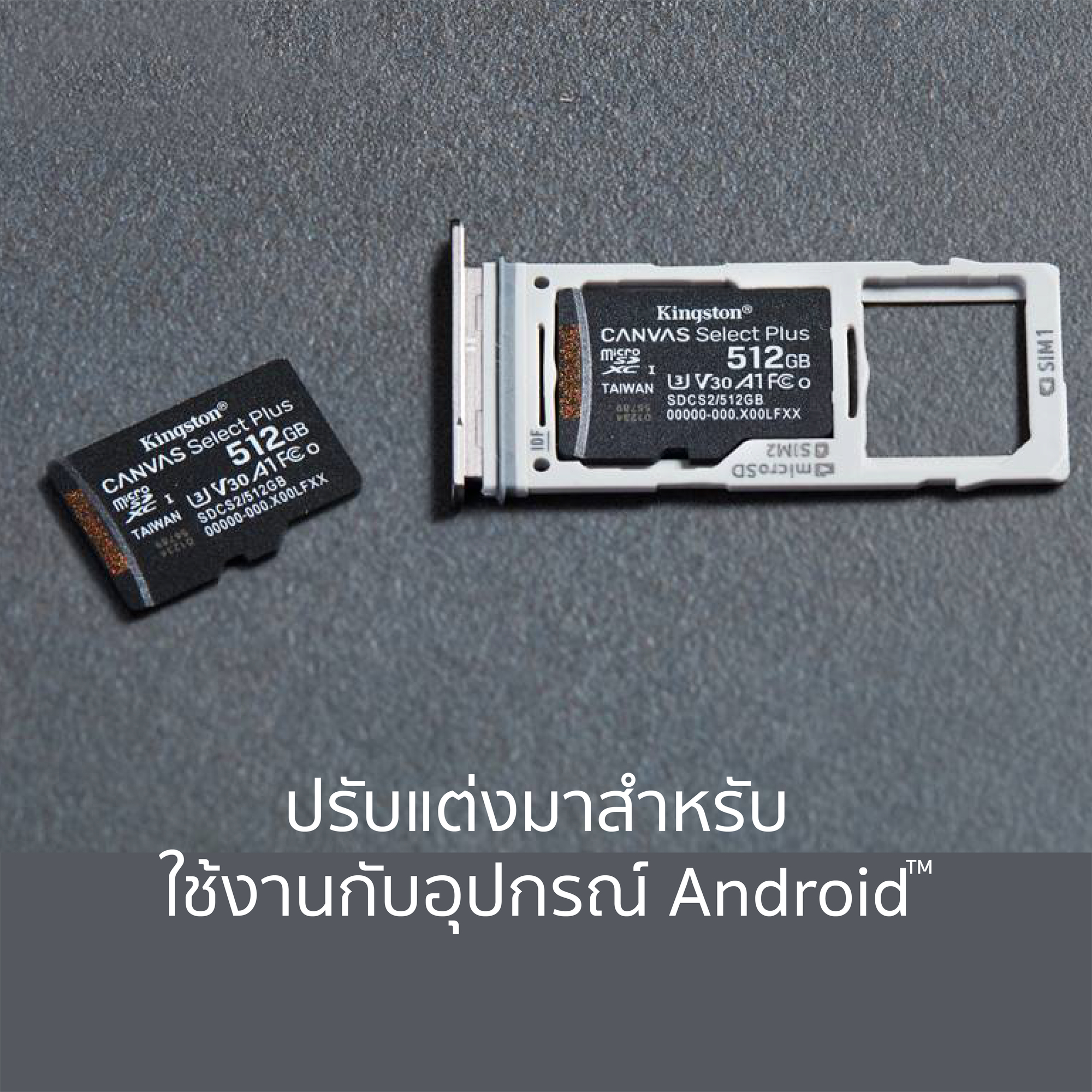 Kingston Micro SD Card 32,64,128,256GB (SDCS2) Canvas Select Plus