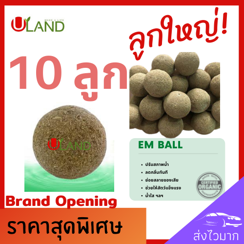 Uland Emball อีเอ็มบอล 10 ลูก บำบัดน้ำเสีย ลดกลิ่นทันที ย่อยสลายของเสีย ตะกอนไขมัน สารอินทรีย์ น้ำใสขึ้น ผลิตจากหัวเชื้อจุลินทรีย์คุณภาพ