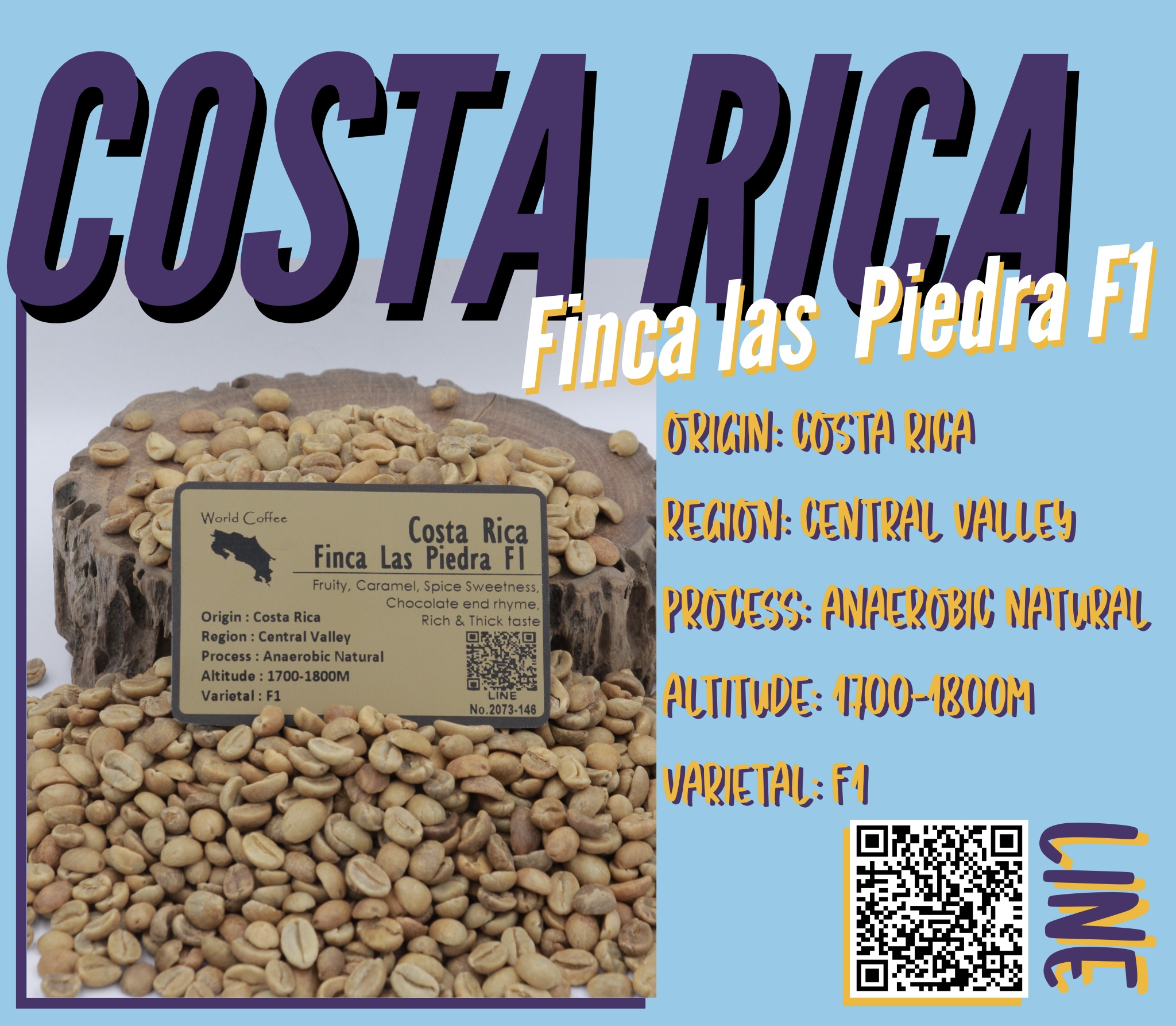 พร้อมส่ง เมล็ดกาแฟดิบ Costa Rica Finca Las Piedra F1 Anaerobic Natural process/ เมล็ดกาแฟนอก/ เมล็ดกาแฟสารคอสตาริกา