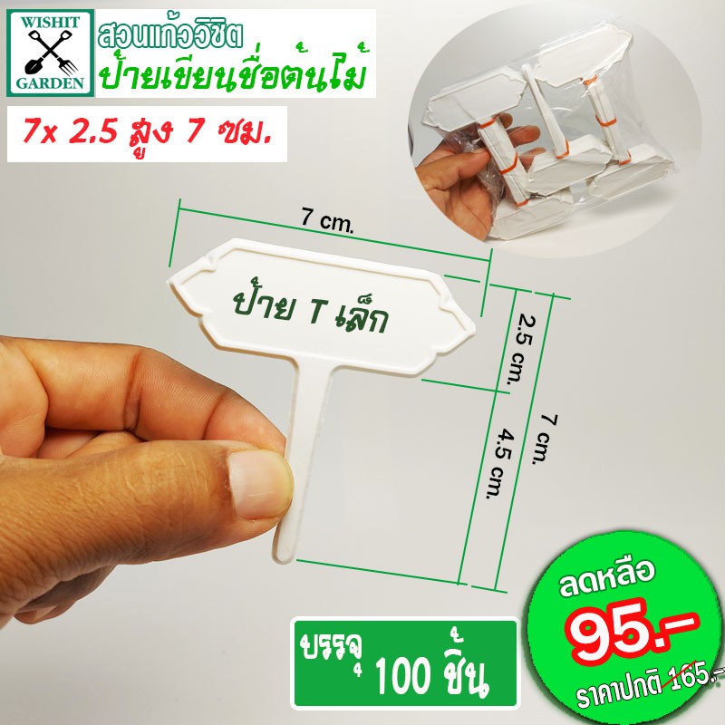 (Promotion+++) ป้ายเขียนชื่อต้นไม้ ป้ายทีเล็กไทย และทีกลางไทย 1ซอง บรรจุ 100ชิ้น มีสองขนาดให้เลือก ราคาถูก ต้นไม้ ฟอก อากาศ ต้นไม้ ปลูก ใน บ้าน ต้น บอน ไซ ต้นไม้ ปลูก ใน ห้อง นอน