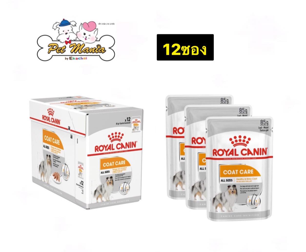 (12ซอง)Royal Canin Coat Care Loaf อาหารเปียกสุนัข สำหรับสุนัขโตต้องการ