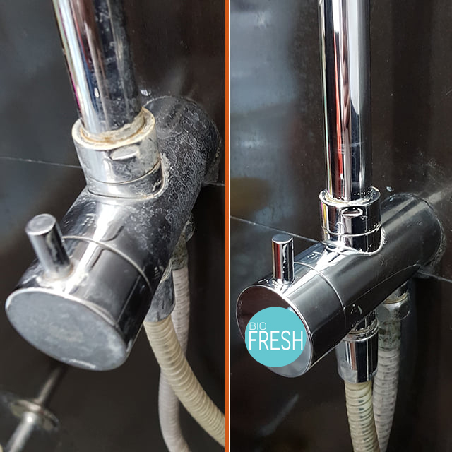 BioFresh SET 2 เจลกำจัดเชื้อรา (เชื้อราในห้องน้ำ ร่องยาแนว ) 1 แถม 1 /น้ำยาขจัดคราบน้ำ 1 ขวด ( ก๊อกน้ำ กระจก สแตนเลส)