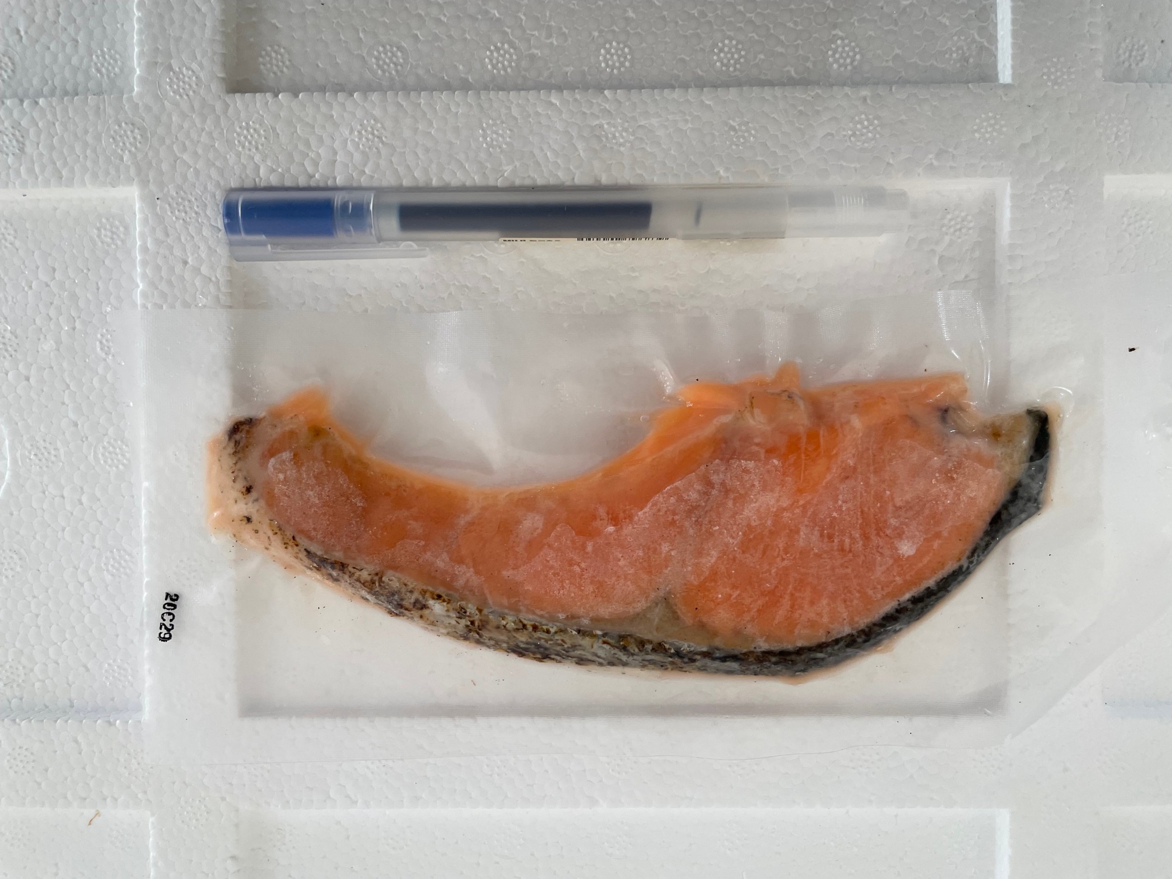 Fz.Salmon Shioyaki ปลาแซลมอลแช่แข็งผสมเกลือธรรมชาติเล็กน้อย 1แพค/5ชิ้น