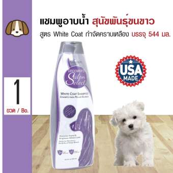 Groomer's Salon Select แชมพูสุนัข สูตร White Coat กำจัดคราบเหลือง สำหรับสุนัขขนขาว (544 มล./ขวด)