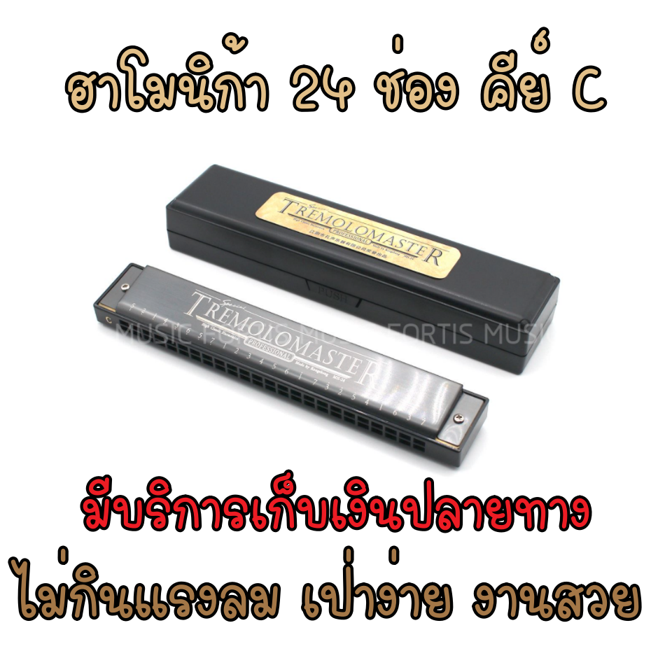 🚚 มีบริการเก็บเงินปลายทาง 🚚 เม้าท์ออแกน / ฮาโมนิก้า Tremolo master คีย์ C 24 ช่อง