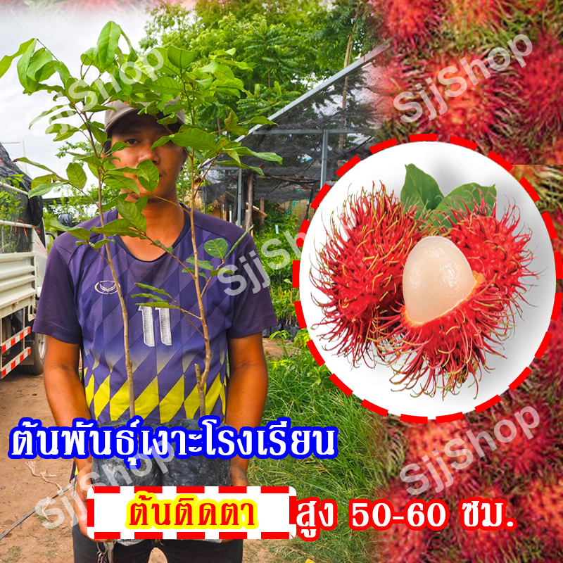My Image 3