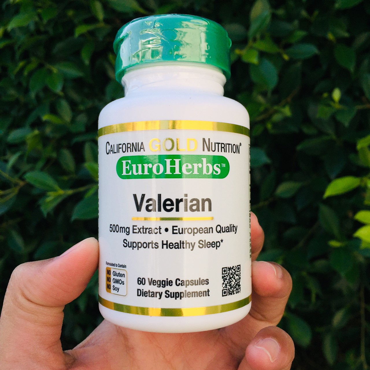 วาเลอเรียน Valerian EuroHerbs 500 mg 60 Veggie Caps (California Gold ...