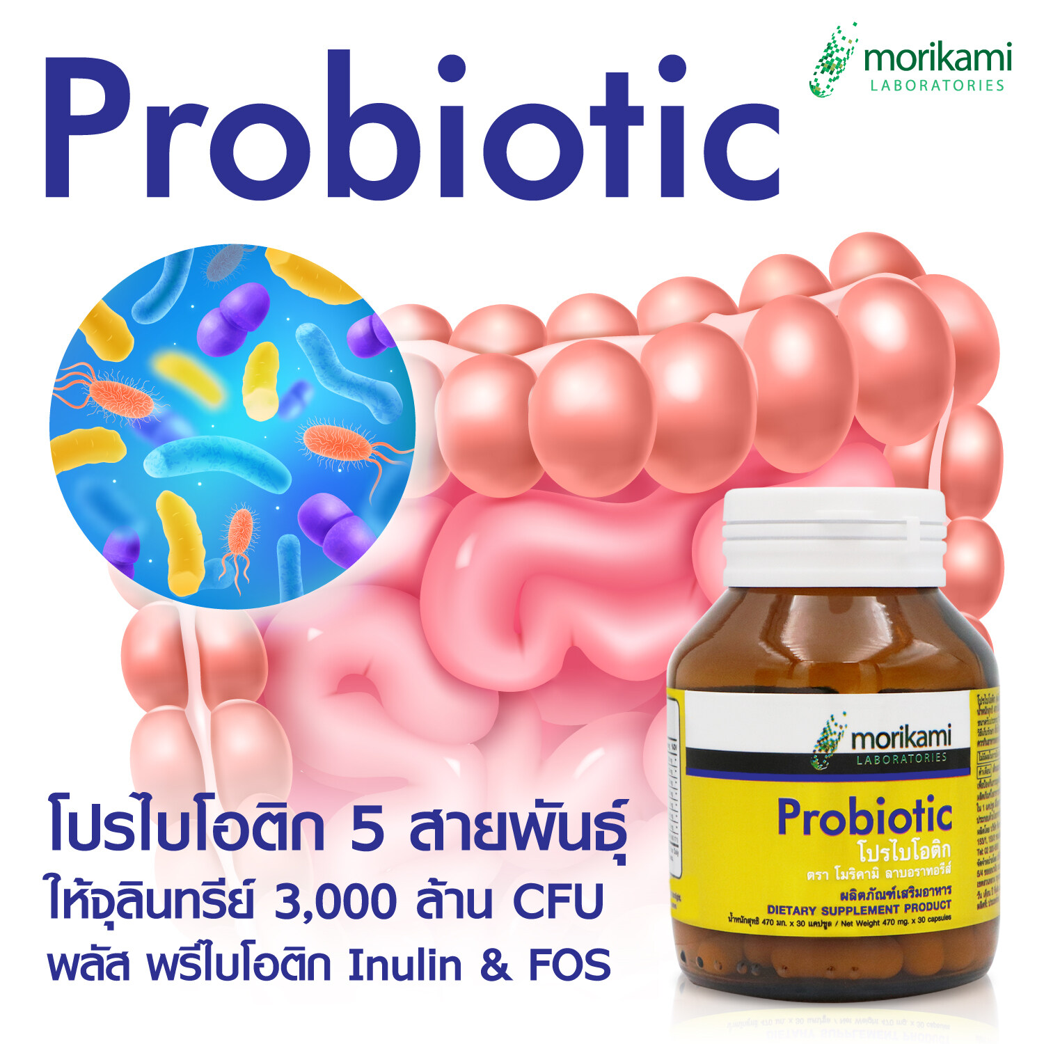 Probiotic โปรไบโอติก 5 สายพันธุ์ 3,000 ล้าน x 1 ขวด CFU plus พรีไบโอติก ...