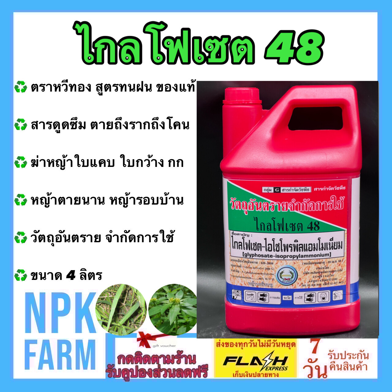 My Image 7