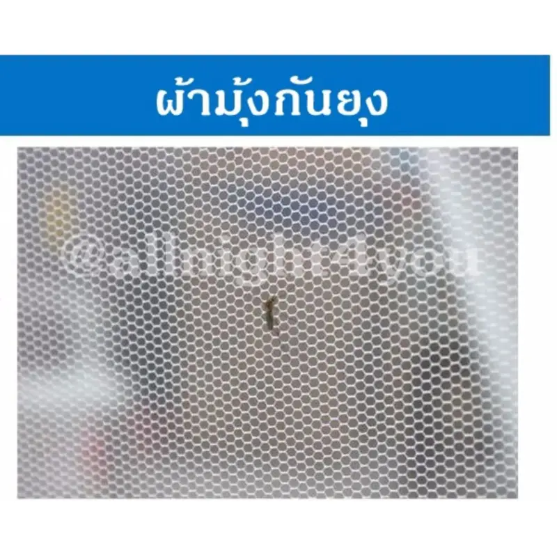 ภาพสินค้าAmazon มุ้งกันยุง มุ้งสปริง ขนาด 7 ฟุต สีชมพูอ่อน ขนาด 200x200x150 cm. นอนได้ 3-4 คน จากร้าน allnight4you บน Lazada ภาพที่ 5