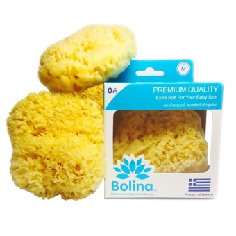 Bolina ฟองน้ำธรรมชาติ ขนาดกลาง M