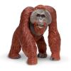 Safari Ltd. : SFR112289 โมเดลลิงอุรังอุตังบอร์เนียว Bornean Orangutan