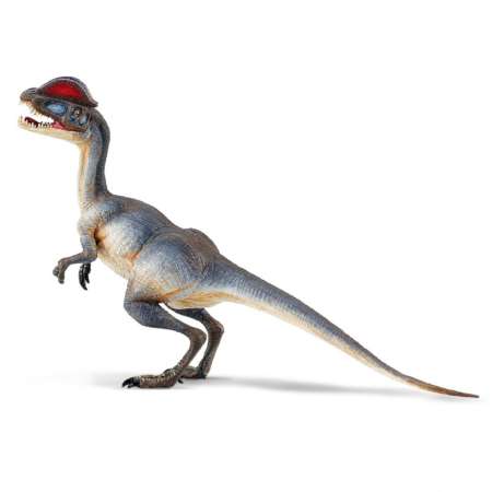 ขายถูกนาทีนี้ Safari Ltd. : SFR287829 โมเดลไดโนเสาร์ Dilophosaurus ส่งมอบสินค้า