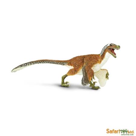 ลดอีก Safari Ltd. : SFR100032 โมเดลไดโนเสาร์ Feathered Velociraptor
มองหาส่วนลด