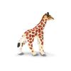 Safari Ltd. : SFR270729 โมเดลสัตว์ Giraffe Baby