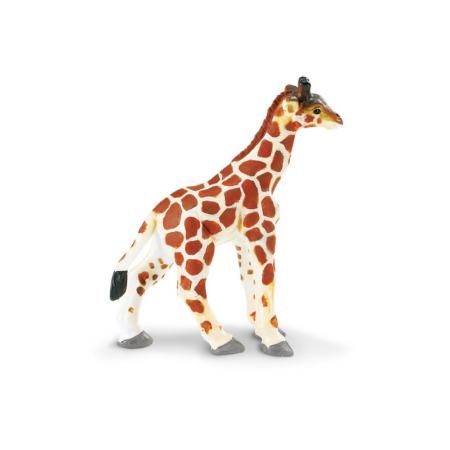 Safari Ltd. : SFR270729 โมเดลสัตว์ Giraffe Baby
