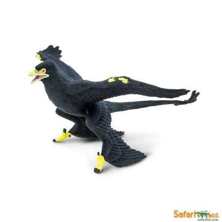 Safari Ltd. : SFR304129 โมเดลไดโนเสาร์ Microraptor