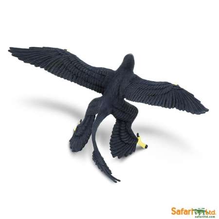 Safari Ltd. : SFR304129 โมเดลไดโนเสาร์ Microraptor