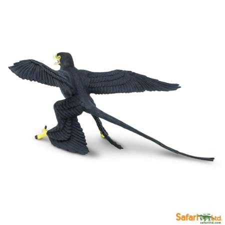 Safari Ltd. : SFR304129 โมเดลไดโนเสาร์ Microraptor