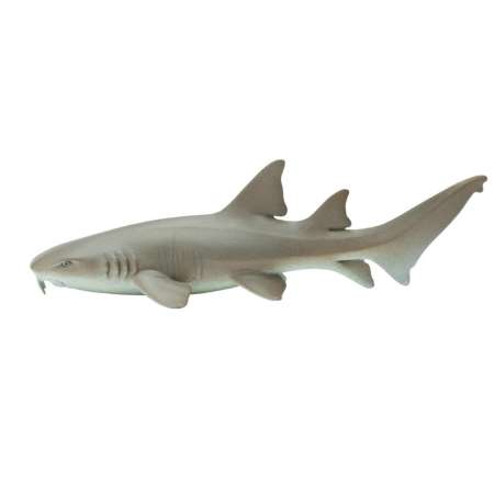 เป็นครั้งแรก Safari Ltd. : SFR200629 โมเดลสัตว์ Nurse Shark ส่วนลดชั่วโมงนี้