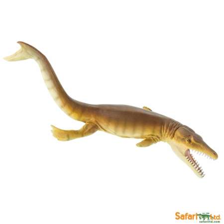 Safari Ltd. : SFR305629 โมเดลไดโนเสาร์ Plesiosuchus