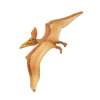Safari Ltd. : SFR279229 โมเดลไดโนเสาร์ Pteranodon