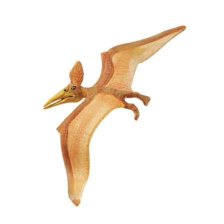 Safari Ltd. : SFR279229 โมเดลไดโนเสาร์ Pteranodon