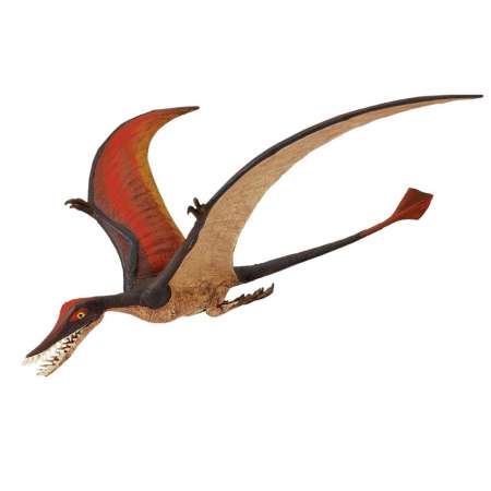 Safari Ltd. : SFR300329 โมเดลไดโนเสาร์ Rhamphorhynchus