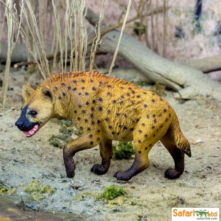 Safari Ltd. : SFR222629 โมเดลไฮยีน่า Hyena