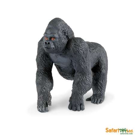 ขายสินค้า Safari Ltd. : SFR282829 โมเดลกอริลล่า Lowland Gorilla ของใหม่ชั่วโมงนี้