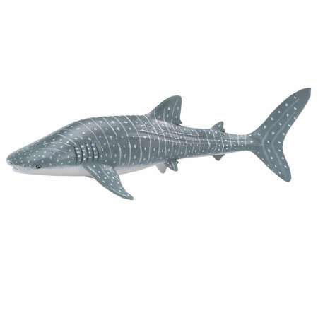 เสนอสินค้าโปรโมชั่น Safari Ltd. : SFR422129 โมเดลปลาฉลาม Whale Shark
ราคาพิเศษตอนนี้