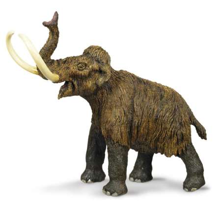 Safari Ltd. : SFR279929 โมเดลสัตว์ Woolly Mammoth