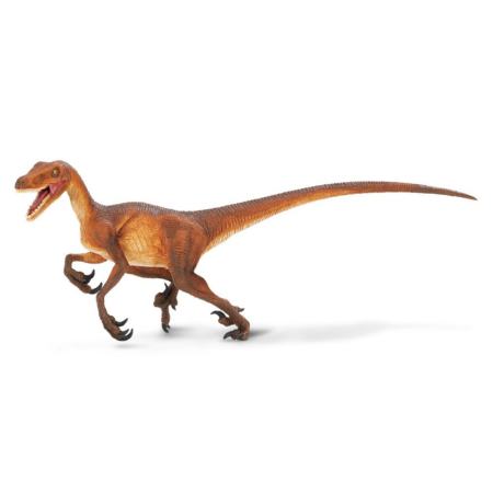 Safari Ltd. : SFR299929 โมเดลไดโนเสาร์ WS Dino Velociraptor