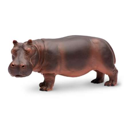 Safari Ltd. : SFR270429 โมเดลสัตว์ WS Jungle Hippopotamus Adult 