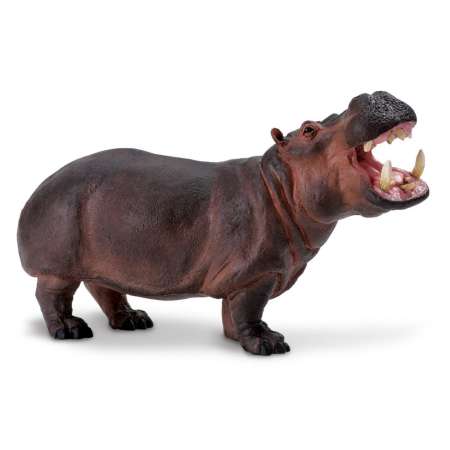 ขายดีชั่วโมงนี้ Safari Ltd. : SFR111889 โมเดลฮิปโป WW Hippopotamus
ดูส่วนลดโปรโมชั่น
