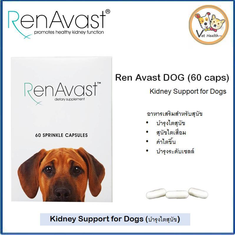 RenAvast DOG  อาหารเสริม บำรุงไตสุนัข (60 แคปซูล)
