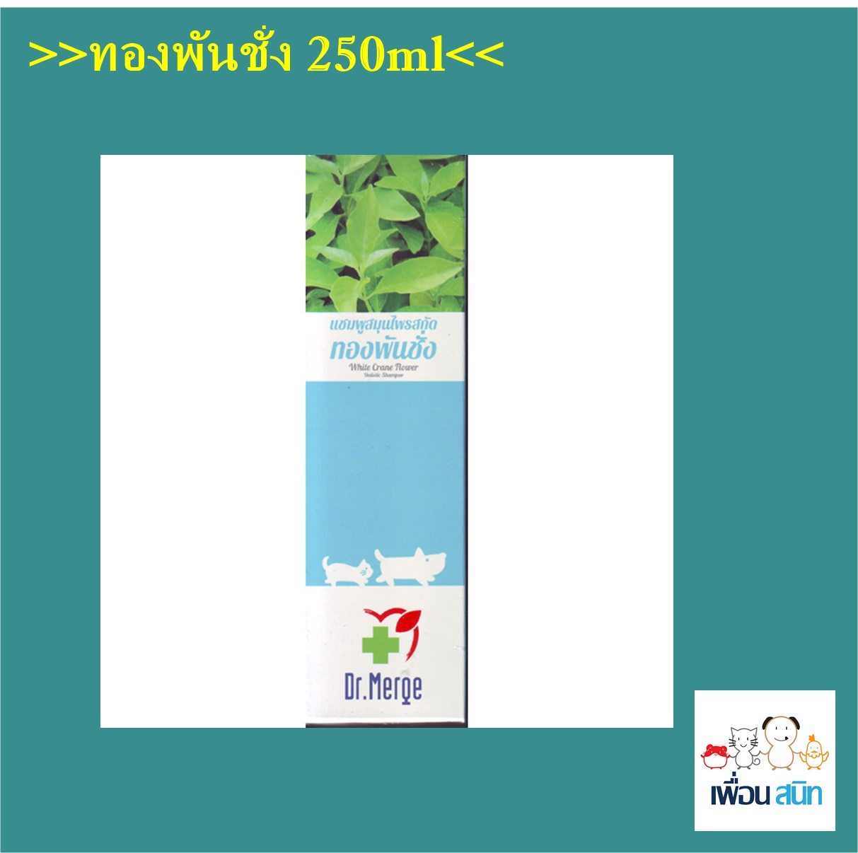 Dr.Merge แชมพูทองพันชั่ง สมุนไพร กำจัดเชื้อรา ยีสต์ แบคทีเรีย สุนัข-แมว 250 ml EXP: 30/9/22