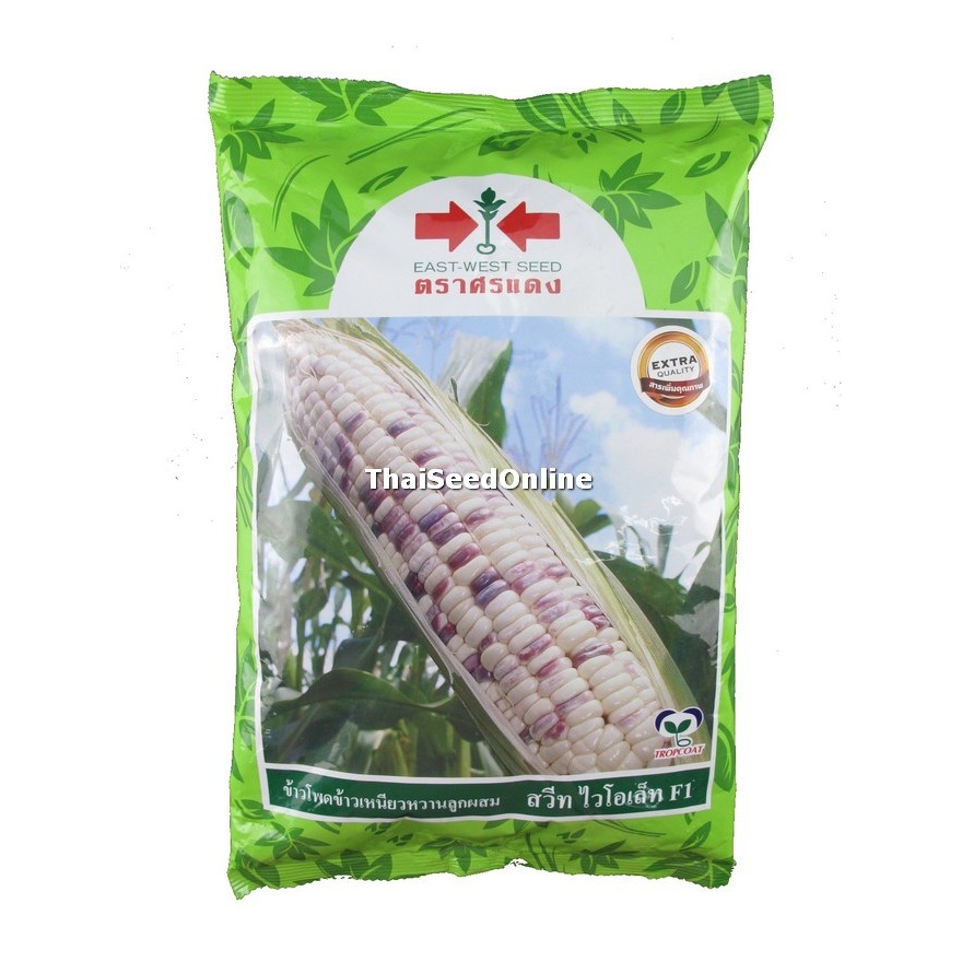 My Image 71