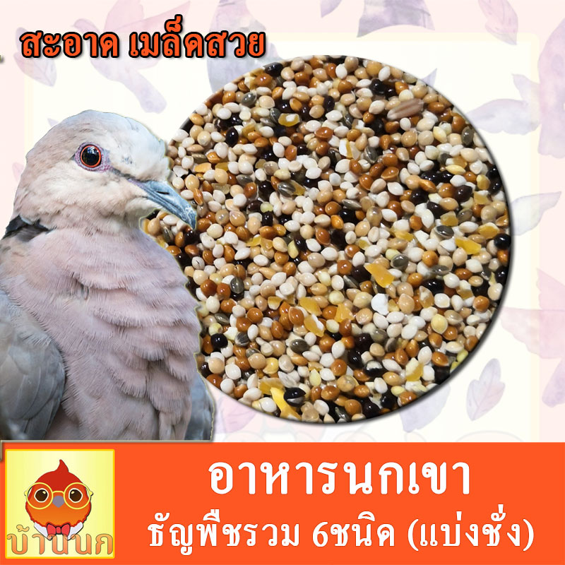 อาหารนกเขา 500g อาหารนกเขาเล็ก อาหารนก นกเขา ธัญพืช แบ่งขาย