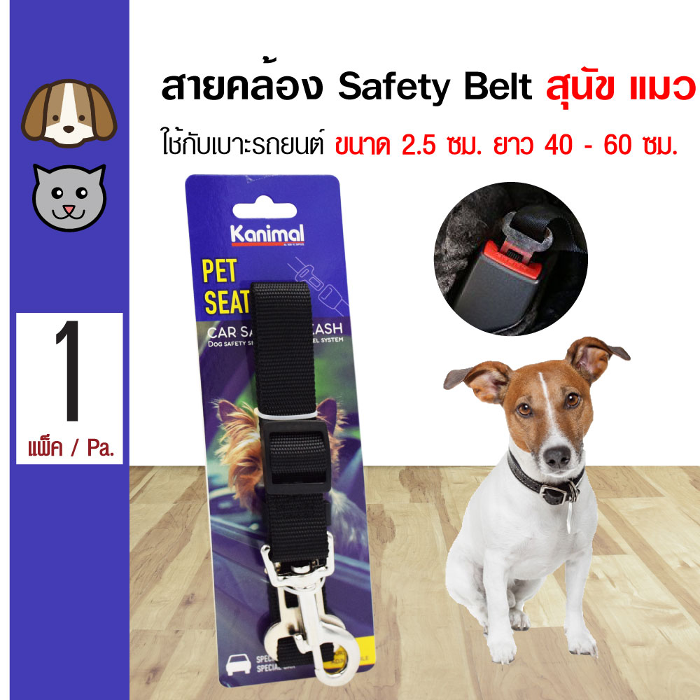 Pet Seatbelt Strap สายคล้องสุนัข จูงแมวกับเข็มขัดนิรภัย ใช้กับเบาะรถยนต์ ขนาด 2.5 ซม. ปรับความยาว 40-60 ซม.